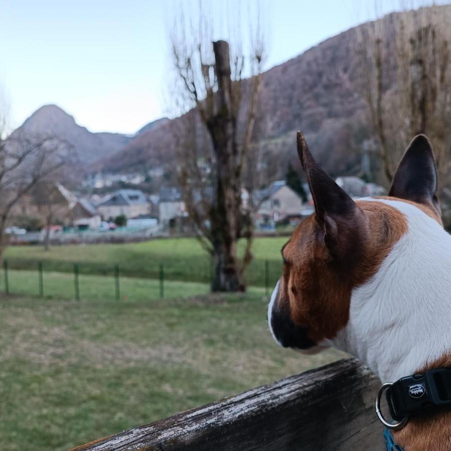 Chalet- Vallee De Luchon - Vallee De La Pique Cierp ภายนอก รูปภาพ
