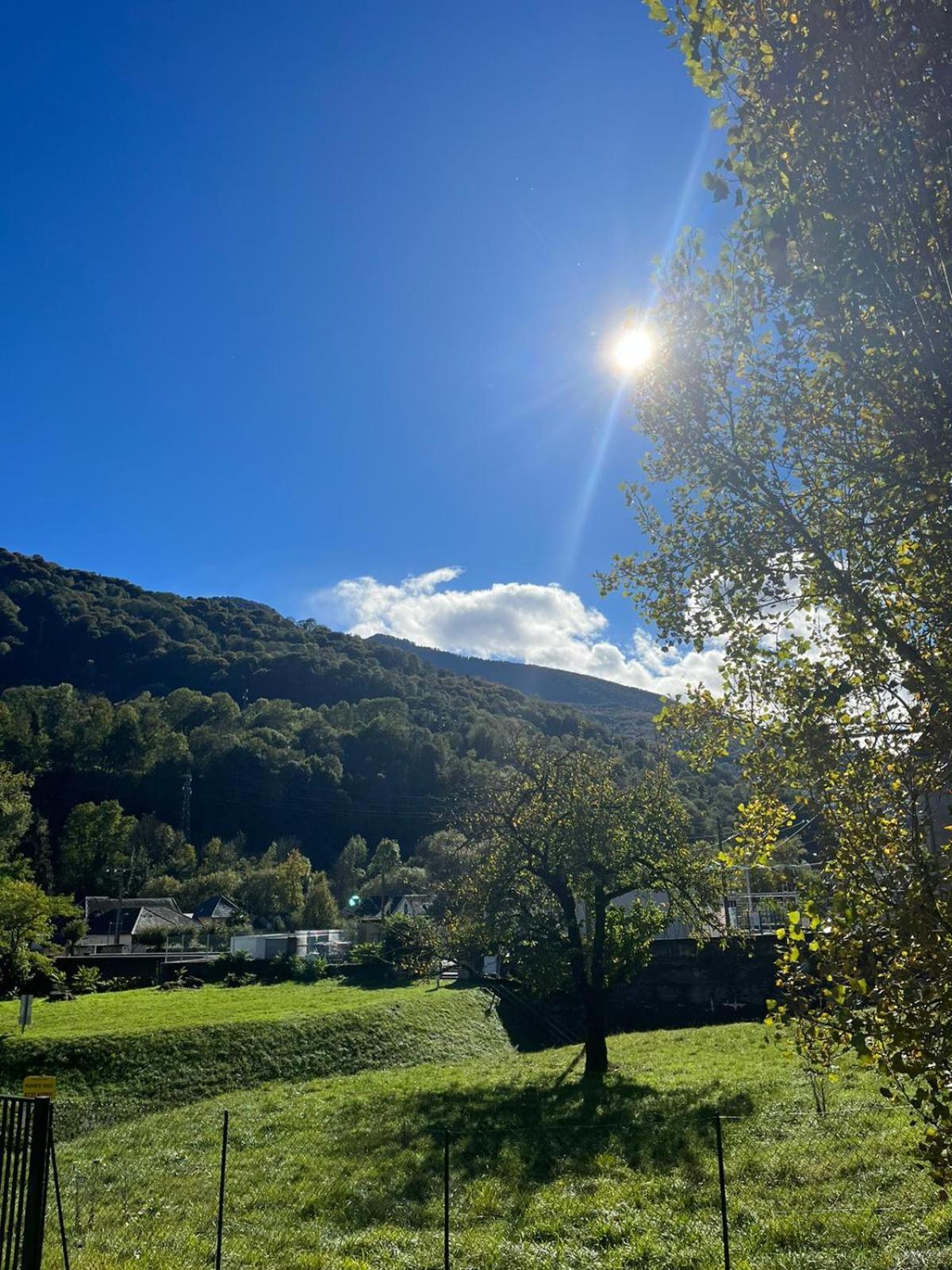 Chalet- Vallee De Luchon - Vallee De La Pique Cierp ภายนอก รูปภาพ
